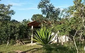 Canto Guardian - Suavidade e paz no cerrado
